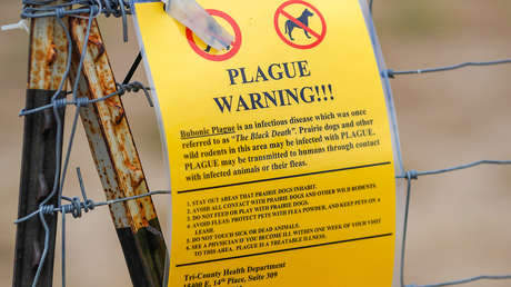 La 'peste negra' deja un muerto en EE.UU.: ¿qué se sabe?
