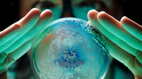 "Es como un fantasma": un gen que hace invencibles a las bacterias se propaga por todo el mundo