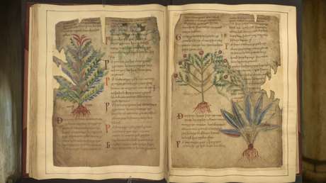 Encuentran sorprendentes similitudes entre la medicina medieval y tendencias actuales de TikTok