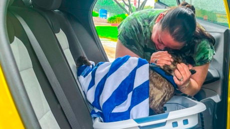 Una perra regresa a su casa 8 años después de perderse durante un huracán