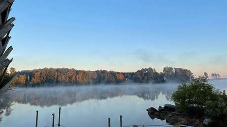 Niño muere por ameba 'devoradora de cerebros' tras nadar en lago popular