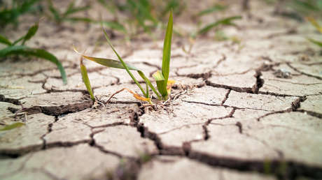 Un estudio revela que la Tierra pierde agua dulce a un ritmo preocupante