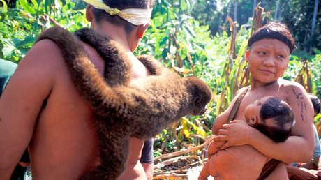 "Queremos Starlink": La metamorfosis de una comunidad indígena de Brasil tras salir del aislamiento