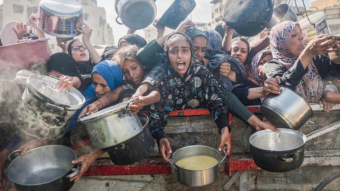 La hambruna en Gaza ha causado ya 175 muertos (VIDEOS)