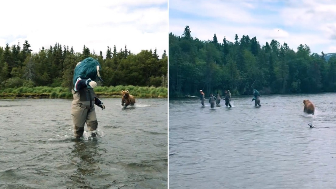 VIDEO: Surrealista encuentro entre un troll y un oso salvaje