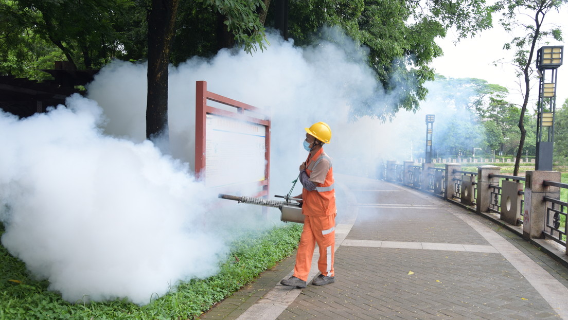 Qué se sabe sobre el brote de virus de chikungunya en China que ha dejado 7.000 casos