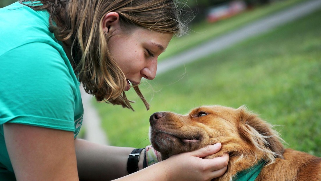 El sorprendente beneficio para la salud de tener un perro