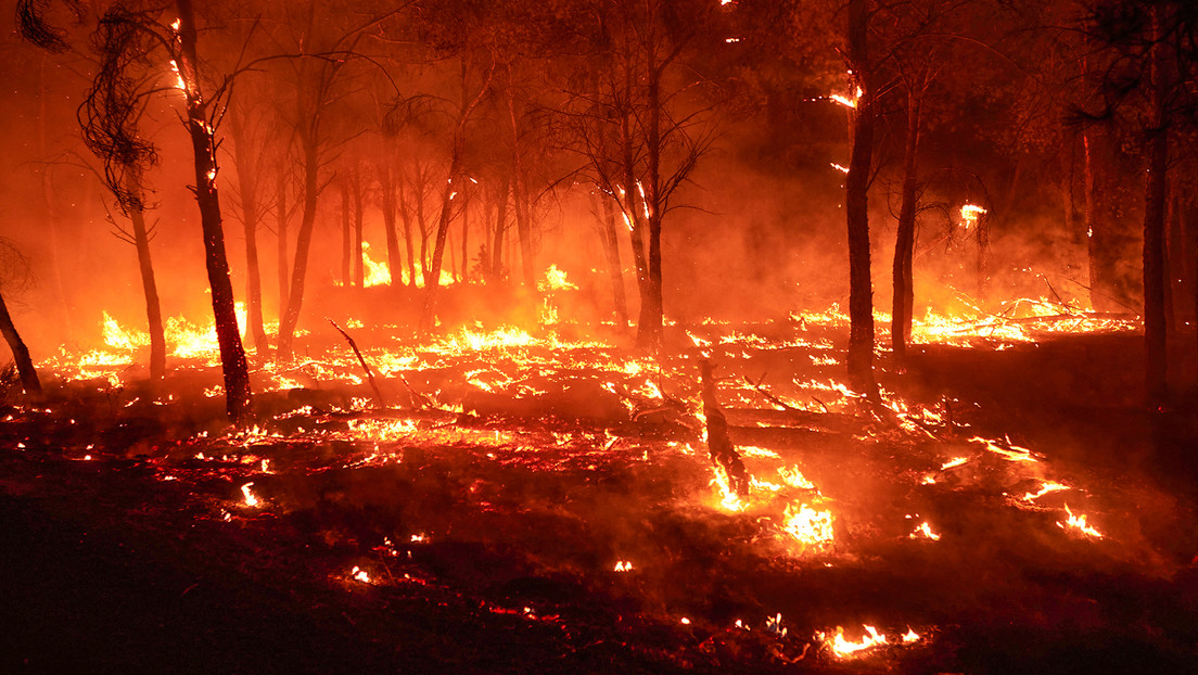Preemergencia y Madrid cercada por el fuego: España sufre masivos incendios forestales (VIDEOS)