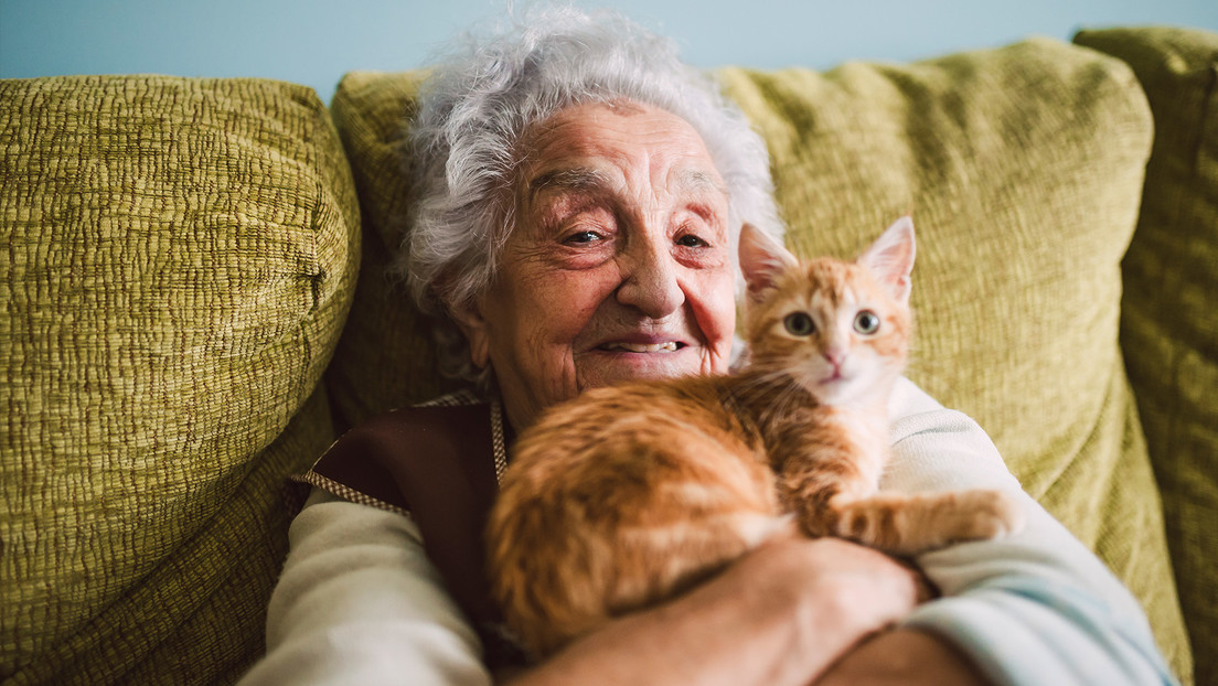 Científicos descubren en los gatos una posible clave para estudiar el alzhéimer
