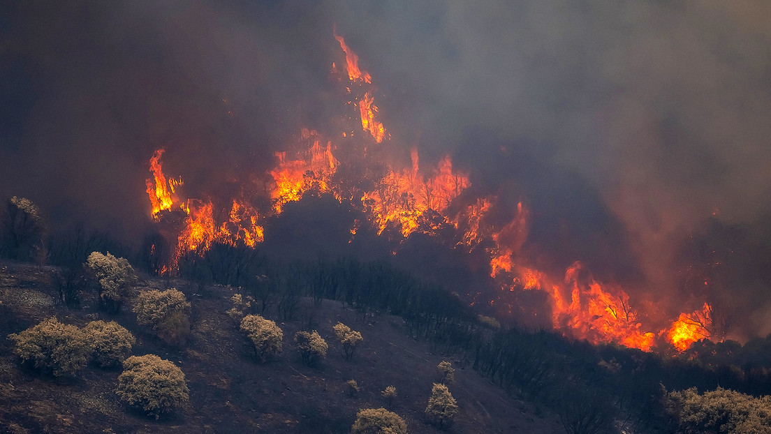 FOTOS, VIDEOS: España enfrenta el incendio forestal más grande de su historia