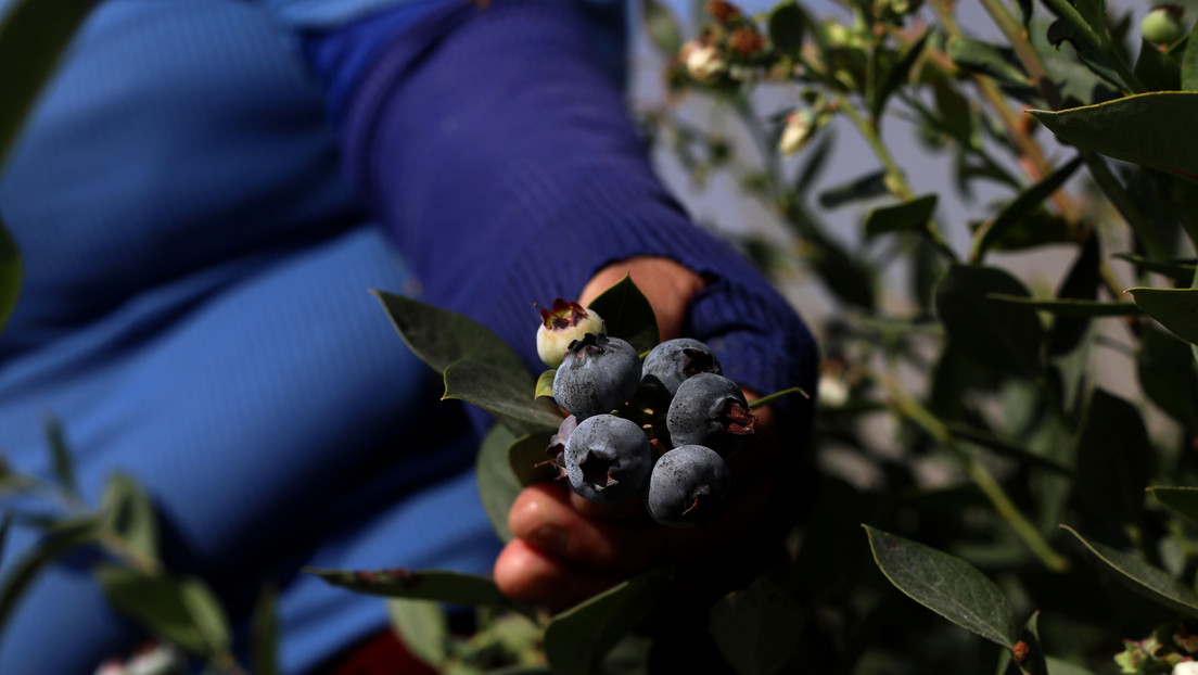 Perú proyecta un reemplazo comercial para EE.UU. pese a la 'molestia' de Washington