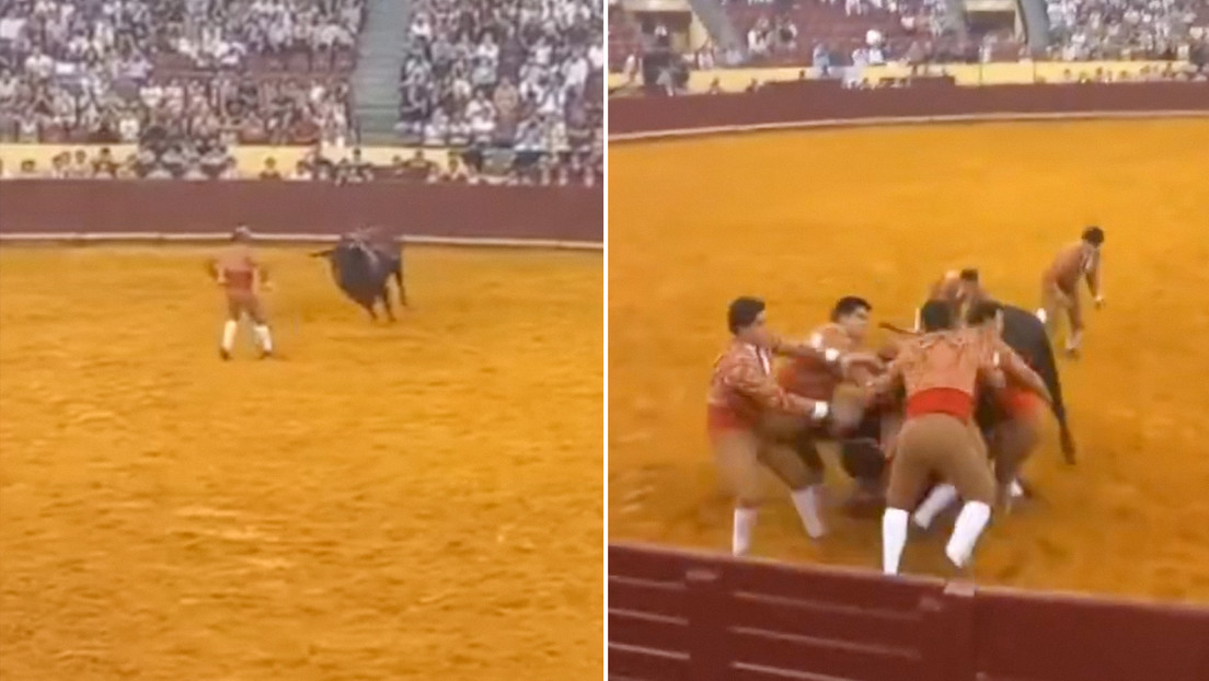 Fuertes imágenes: Un toro de 700 kg mata a un torero portugués