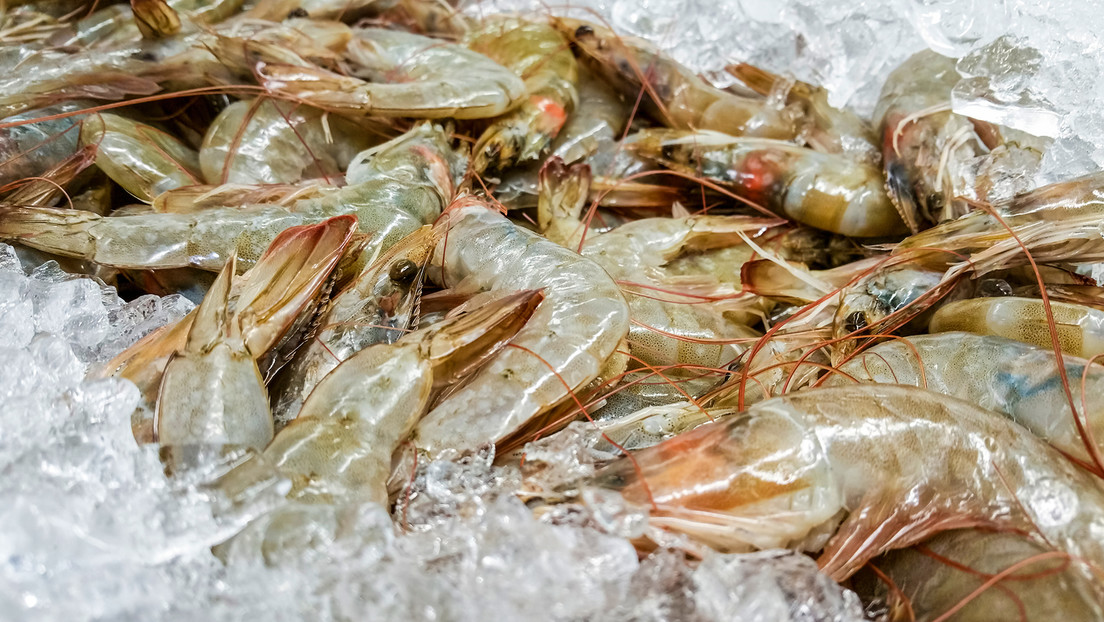 Retiro masivo en EE.UU. de camarones 'radiactivos': ¿qué está pasando?