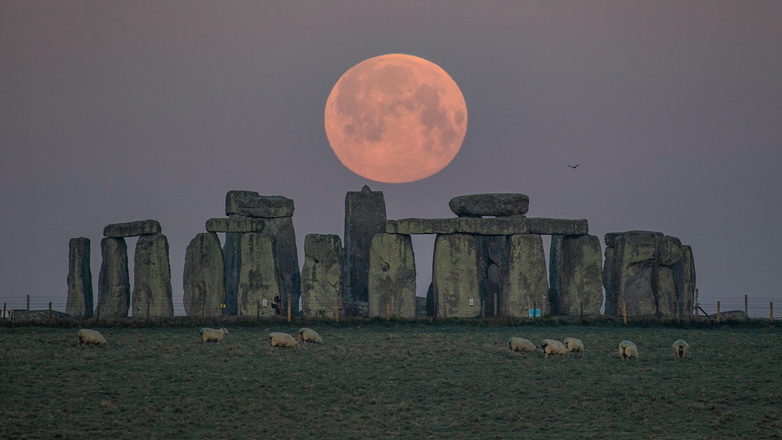 Un diente de vaca podría resolver el misterio de la construcción de Stonehenge