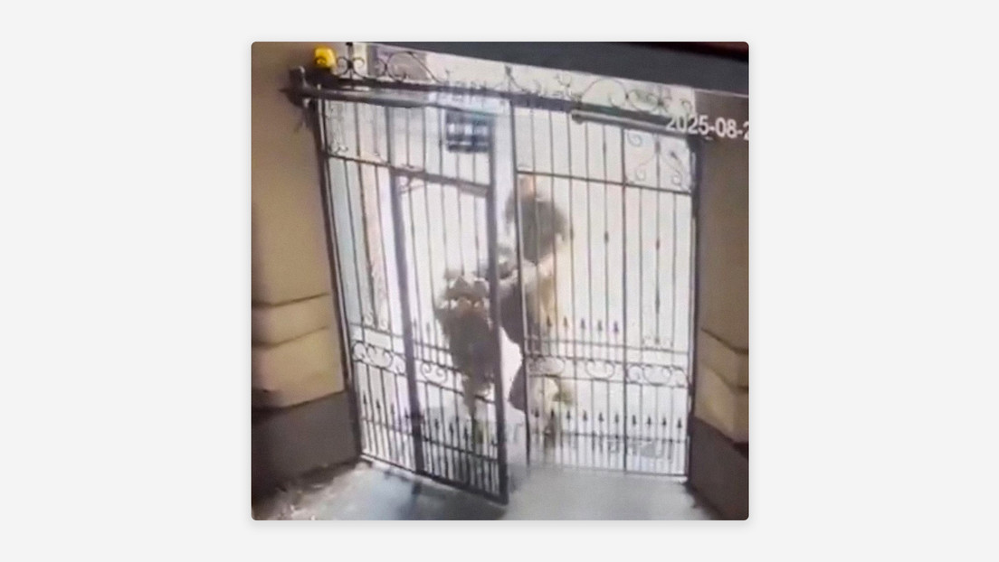 VIDEO: Reclutadores ucranianos no alcanzan a un hombre por no saber cómo abrir una puerta