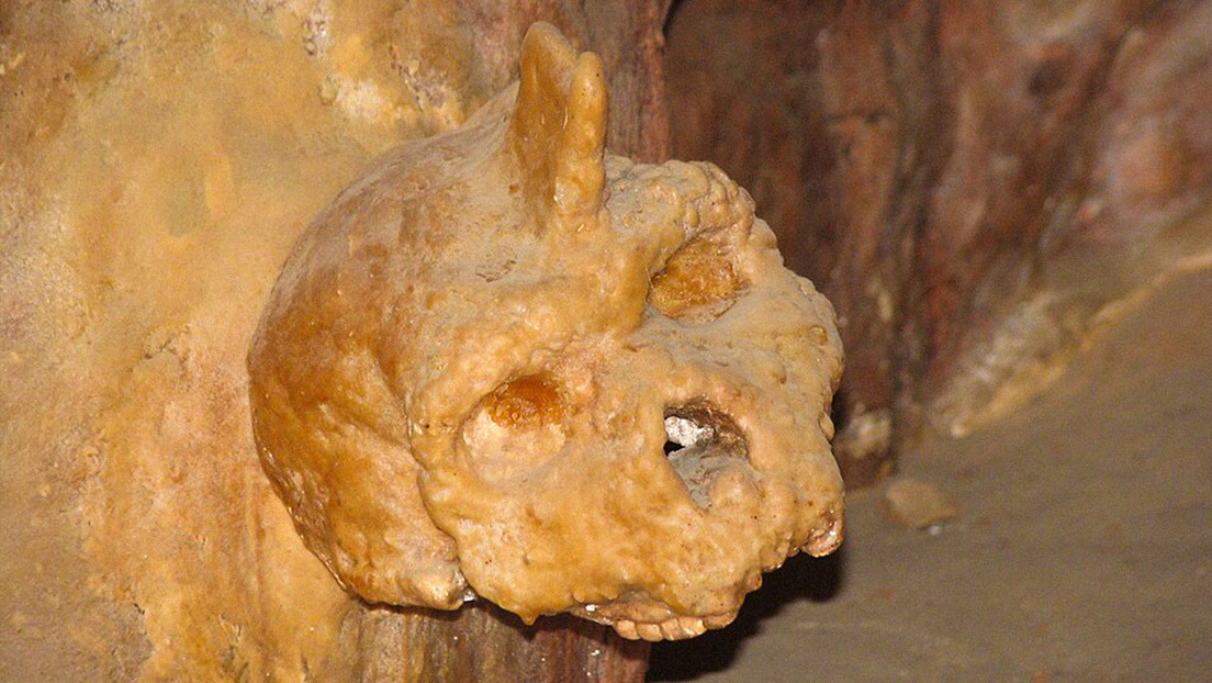 Científicos descifran el misterio del 'Hombre Unicornio'