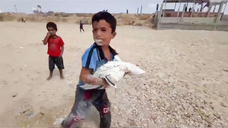 VIDEO: Niño palestino se regocija al conseguir una pequeña bolsa de harina