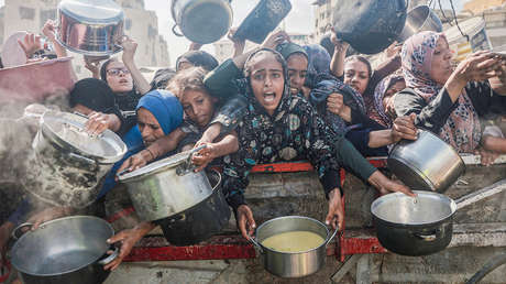 La hambruna en Gaza ha causado ya 175 muertos (VIDEOS)