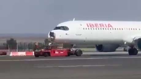 Un pájaro destroza el morro de un avión de pasajeros en pleno vuelo (VIDEOS, FOTOS)