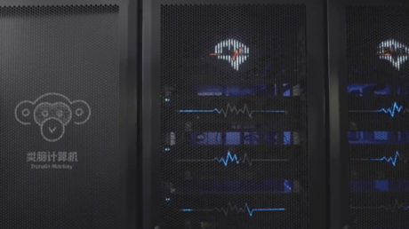 Revolución en la IA: la primera computadora que imita el cerebro de un macaco ya está aquí