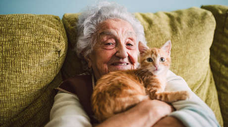 Científicos descubren en los gatos una posible clave para estudiar el alzhéimer