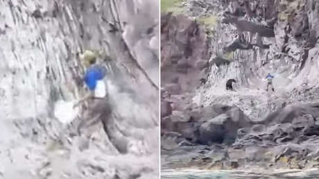 Guía ruso salva a unos turistas enfrentando a un oso (VIDEO)