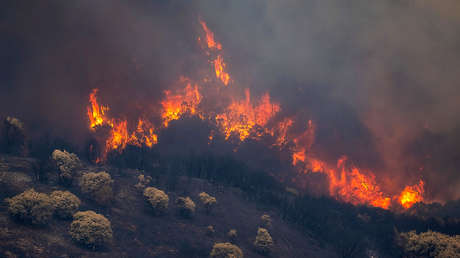 FOTOS, VIDEOS: España enfrenta el incendio forestal más grande de su historia