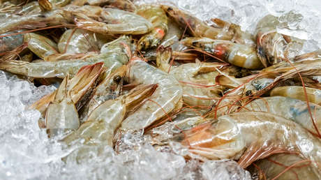 Retiro masivo en EE.UU. de camarones 'radiactivos': ¿qué está pasando?