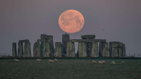 Un diente de vaca podría resolver el misterio de la construcción de Stonehenge