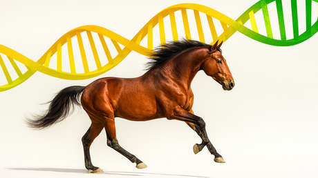 ¿Avance o controversia?: la creciente industria de clonación de caballos de polo