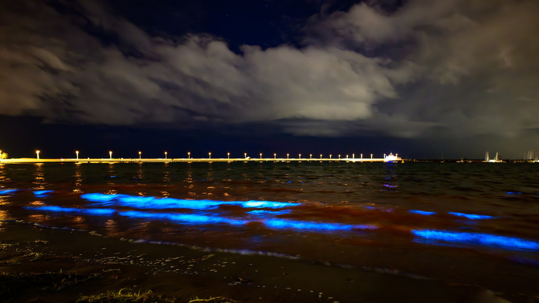 El mar se tiñe con un sorprendente brillo azul en el sur de Australia (VIDEOS)