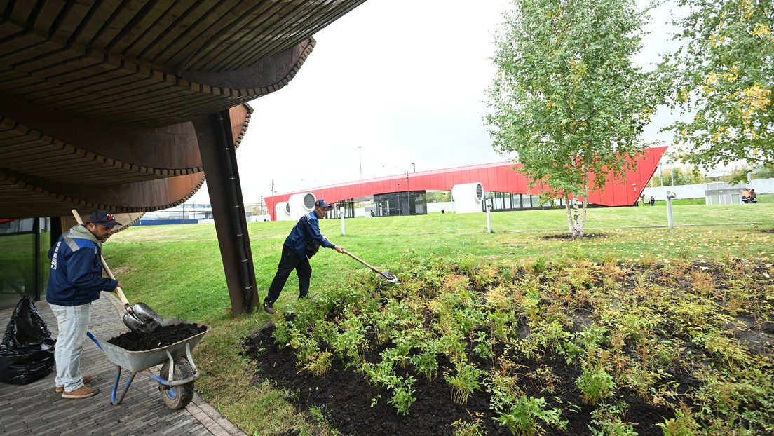 Compostaje humano: la alternativa 'ecológica' a los entierros que se propaga en EE.UU.