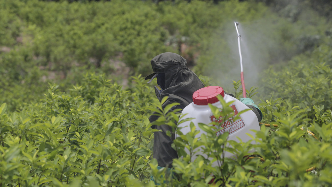 EE.UU.-Colombia: un 'show' antidrogas y castigo del imperio