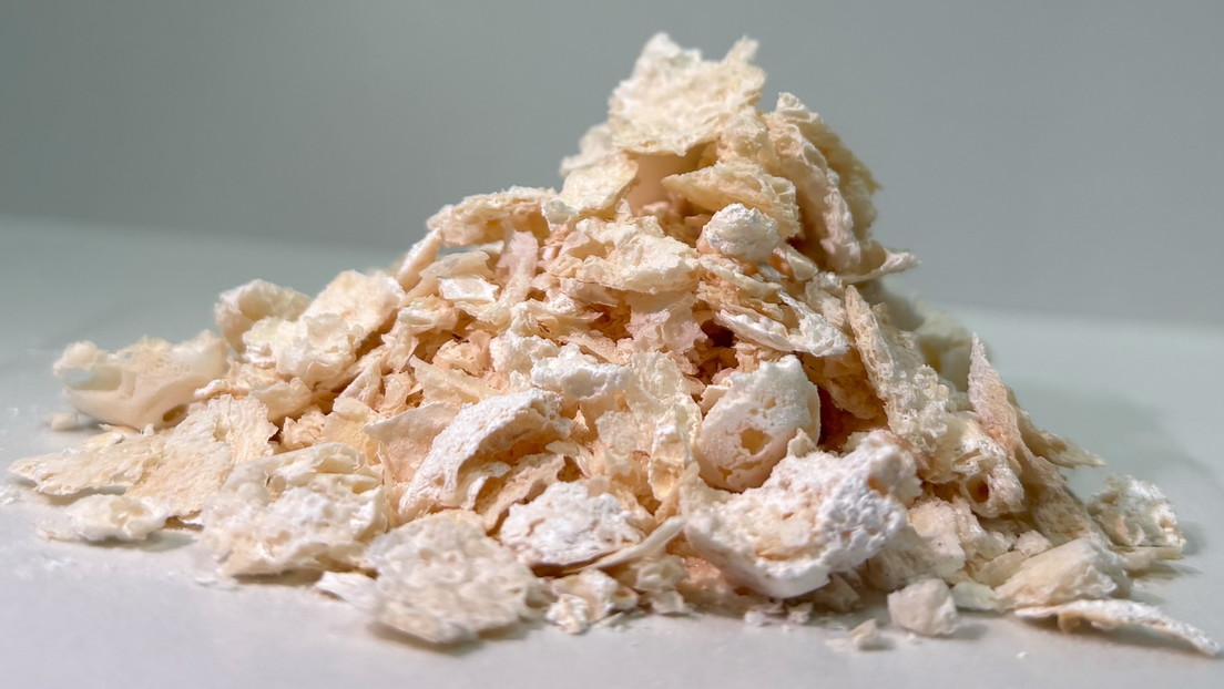 Estas bacterias genéticamente modificadas podrían dejar atrás al plástico