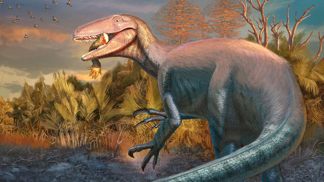 Hallan en Argentina restos de un megaraptor con un curioso detalle