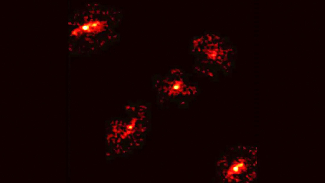 "No debería ocurrir": Hallan una rara cruz de Einstein con una 'sorpresa' dentro