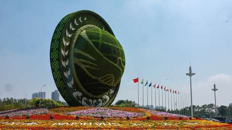 Los países de la OCS crearán un Banco de Desarrollo de la organización