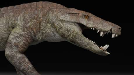 Descubren en la Patagonia un cocodrilo carnívoro que convivió con dinosaurios hace 70 millones de años