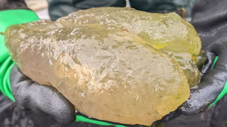 Revelan qué son los 'osos de goma malditos' hallados en un lago de EE.UU.