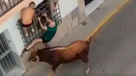 FUERTE VIDEO: Un hombre es corneado hasta la muerte en unas fiestas locales españolas