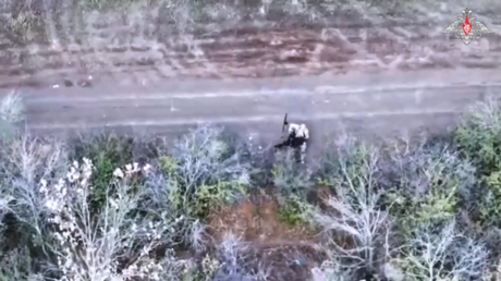 Precisión letal: Artillería rusa aniquila puestos de control de drones de Kiev (VIDEO)