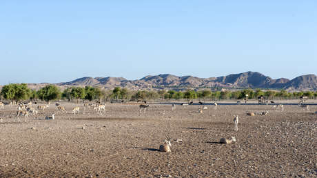 "Muy emocionante": Hallazgo de rara cruz revela curioso dato sobre una isla remota