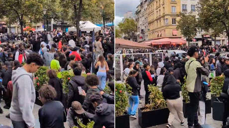 'Pollo al gas lacrimógeno': un local en París promete comida gratis y estallan choques con la Policía (VIDEOS)