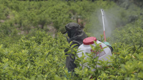 EE.UU.-Colombia: un 'show' antidrogas y castigo del imperio