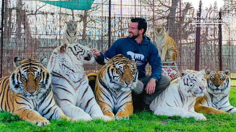 "Tragedia": Tigre ataca y mata a un domador