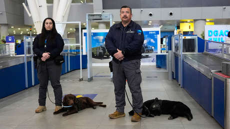 Una inusitada disputa legal mantiene 30 piernas humanas retenidas en un aeropuerto