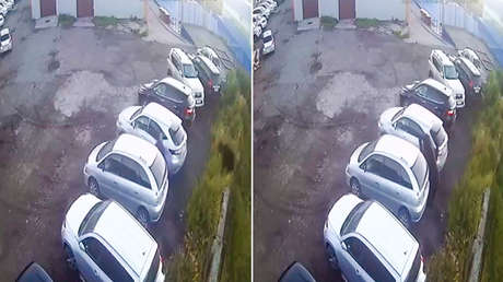 VIDEO: Así un ruso logra salvarse por los pelos de un oso furioso