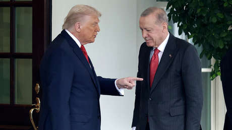 Trump sobre Erdogan: "Nadie sabe que él se apoderó de Siria"