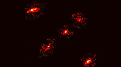 "No debería ocurrir": Hallan una rara cruz de Einstein con una 'sorpresa' dentro