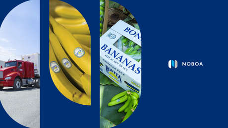 Gobierno de Noboa aprueba una condonación millonaria para su empresa bananera